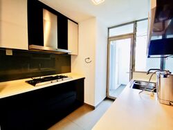 The Trumps (D14), Condominium #566751361